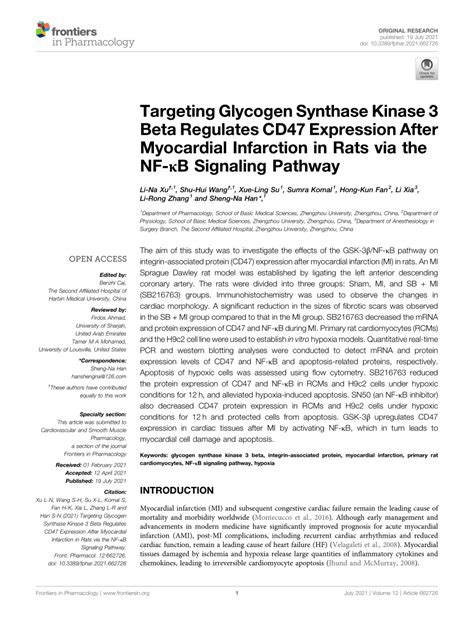 Pdf Targeting Glycogen Synthase Kinase 3 Beta Regulates Cd47