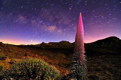 Stargazing at the Teide National Park by night - Tenerife - Excursion