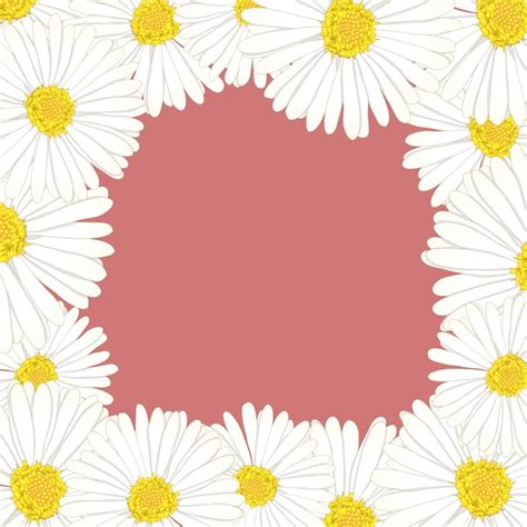 Daisy Flower Border Design