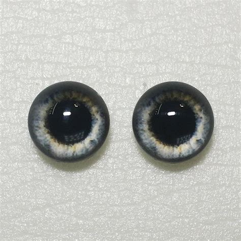 Taxidermy Glass Eyes Cabochons For Steampunk Jewelry Etsy