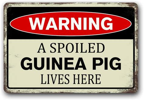 Amazon Locmorly Warning A Spoiled Guinea Pig Lives Here Sign X