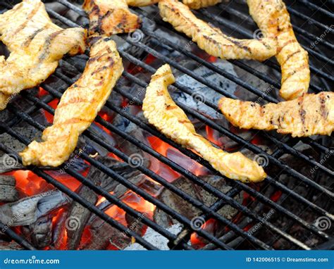 Poultry Meat Slices Turkey on the Charcoal Round Grill. Close-up Stock Image - Image of grill ...