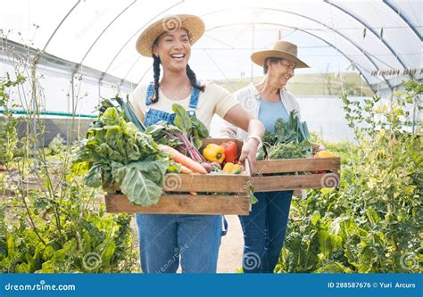 La Agricultura De Mujeres Y El Trabajo En Equipo De Agricultura Vegetal