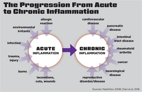 Inflammation Obesity Diabetes Aging And Exercise Idea Health Fitness