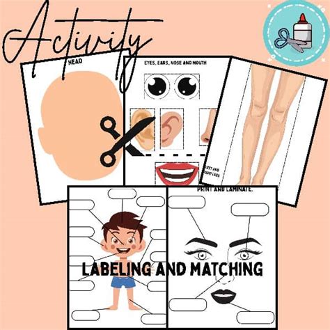 Body Parts Cut And Paste Activity Human Body Labeling Worksheets