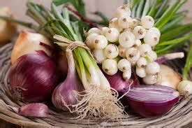 Verduras De Bulbo Y Tub Rculos Alimentos De La Madre Tierra Full