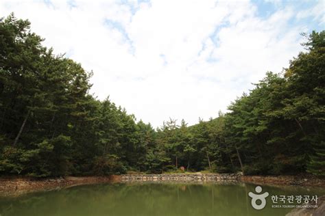 국립 희리산해송자연휴양림 관광 정보와 주변 관광 명소 및 근처 맛집 여행 정보