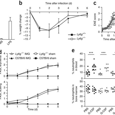 Neutrophil Functions In Vivo A The Recruitment Of Neutrophils Into