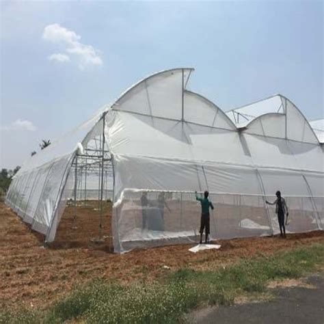 high tunnel polyhouse manufacturer supplier  hathras