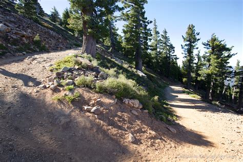 Sierra Buttes Fire Lookout Hike: A Historic Lookout & Crazy Stairs ...