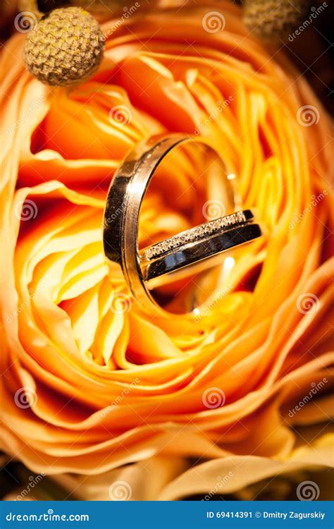 Wedding Rings On The Yellow Roses Stock Image Image Of Closeup