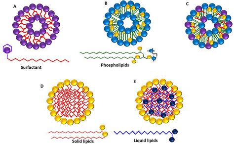 Lipid Nanostructures For Targeting Brain Cancer Pharma Excipients