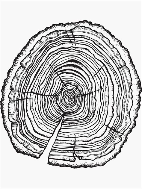 Pin By Justin Goodman On Boredpanda Tree Ring Art Tree Ring Tattoo