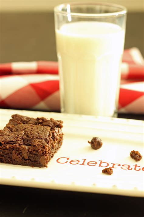 Cocoa Brownies - Good Cheap Eats