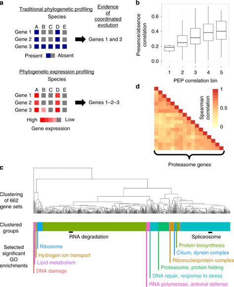 Comparative Expression Profiling Reveals Widespread Coordinated