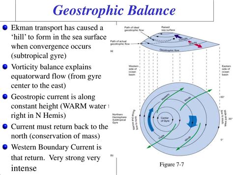 Ppt Chapter Vii Ocean Circulation Powerpoint Presentation Free