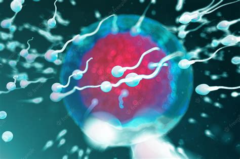 Premium Photo 3d Illustration Sperm And Egg Cell Ovum Sperm Approaching Egg Cell Native And