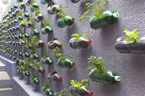 Cara Membuat Dan Merawat Vertical Garden Dari Botol Bekas Yang Mudah