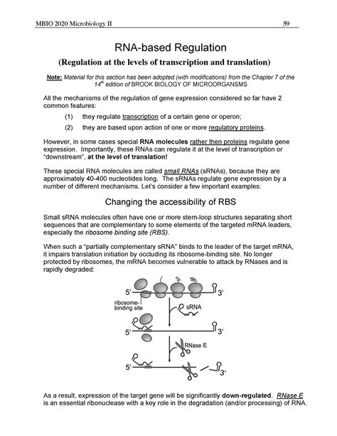 MBIO 2020 Notes For Final MBIO 2020 Microbiology II 59 RNA Based