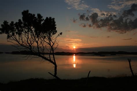 Free Images Sea Tree Nature Horizon Silhouette Cloud Sun