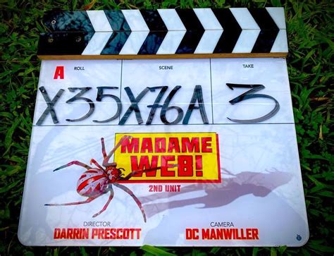 New Madame Web Movie Photo Teases Dakota Johnson's Spider Powers