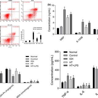 Mild Hypothermia Inhibits Irak Nf B Signal Pathway And Inhibits