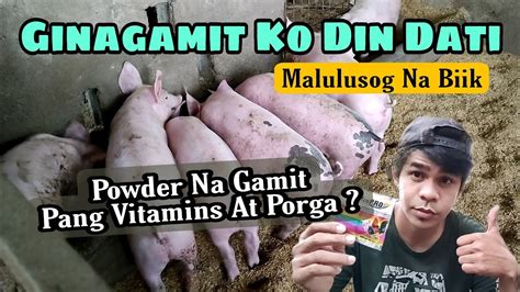 Powder Na Pang Porga At Vitamins Para Sa Baboy Ang Bilis Lumaki Ng