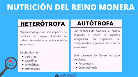 2 tipos de NUTRICIÓN del reino Monera heterótrofa y autótrofa