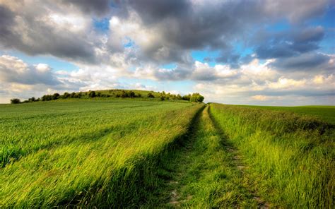 Free Photo Green Grass Field Austria Countryside Europe Free