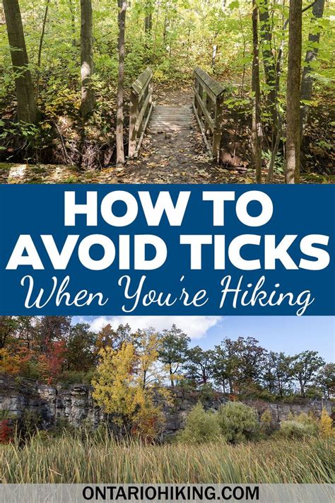 How To Avoid Ticks While Hiking Best Ways To Protect Yourself From