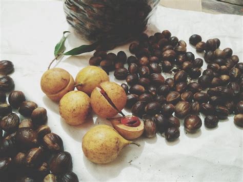 Somalia Fruit Images Free Download On Freepik