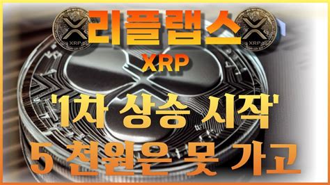 『리플xrp』고래 유입량 미친듯이 증가 중 고래들이 사는 이유가 있겠지 그이유를 알고가자 리플 리플코인 코인