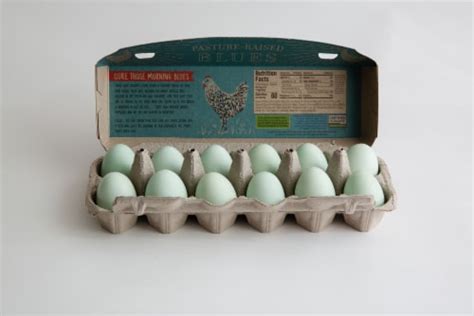 Vital Farms True Blues Pasture Raised Heirloom Medium Eggs Ct