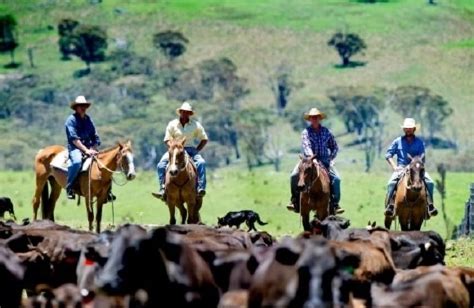 Our Producers The Village Butchery By Origin Meat