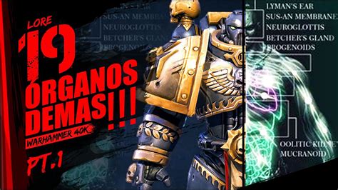 Lore 19 ÓRGANOS DEMAS DE UN MARINE ESPACIAL Pt 1 Warhammer 40