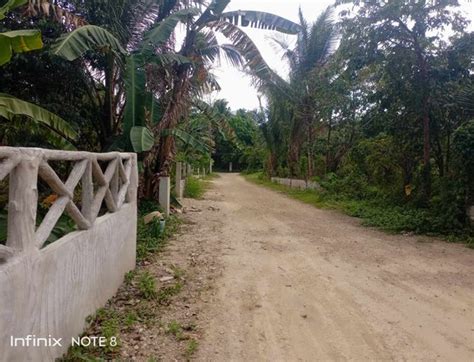 Agricultural Farm Lot For Sale Ternate Cavite 231 Properties