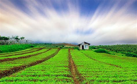 Merawat Ladang Citta Sepanjang Tahun