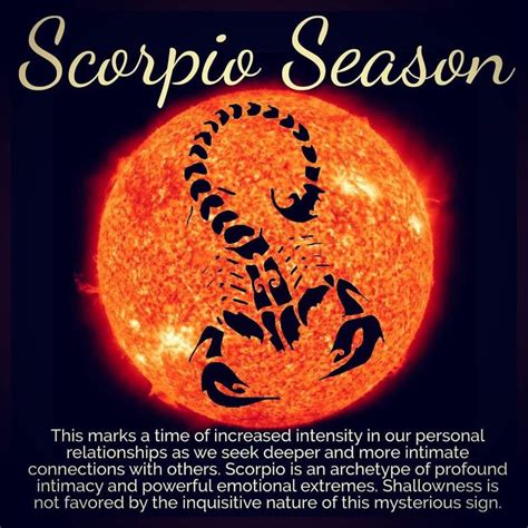 The Scorpion Zodiac Sign Is Shown In Front Of An Orange And Black