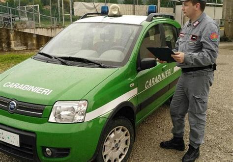 Isernia Provincia Carcasse Di Auto Abbandonate Allaperto I