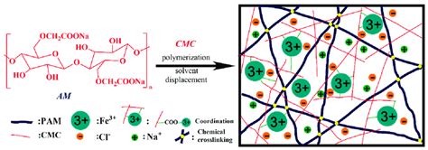 Preparation Process And Internal Structure Of PAM CMC Organohydrogel