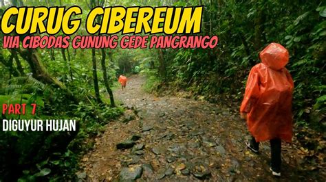 Virtual Hiking Curug Cibereum Via Cibodas Gunung Gede Pangrango Part