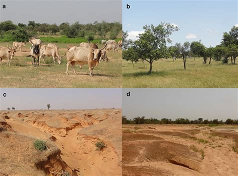 Desertification Before And After