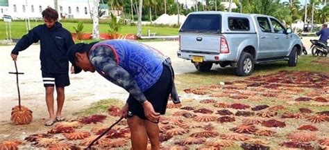 Its Not As Colourful Cook Islanders Working To Make Tourism