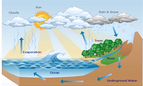 Hydrologic Cycle Diagram Water Cycle Water Cycle Project Hydrology