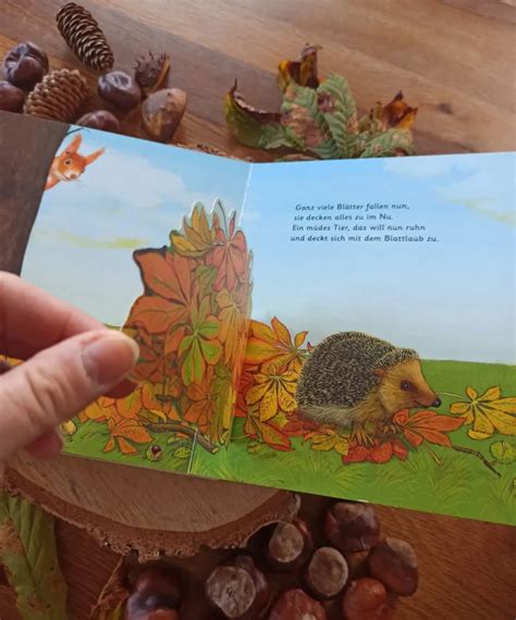 Ein Herbstliches Pappbilderbuch Das Kastanienwunder Buchkinderblog