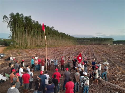 Entidades Repudiam Invas Es De Reas Produtivas Da Suzano Na Bahia