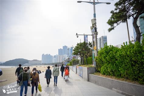 釜山景點》釜山水族館sea Life Busan交通攻略門票資訊~海雲台雨天備案景點釜山親子景點看企鵝鯊魚~漫步海底隧道