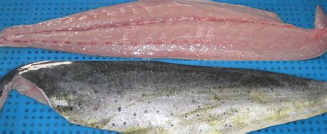 Frozen Mahi Mahi Fillets Products China Frozen Mahi Mahi Fillets Supplier