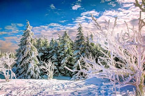 Harz Winter Eis Kostenloses Foto Auf Pixabay Pixabay