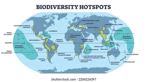 Biodiversity Hotspots Life Species Variety On Stock Vector Royalty Free 2204224397 Shutterstock